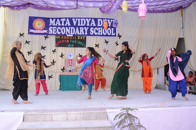 Mata Vidya Devi Public School | Najafgarh New Delhi